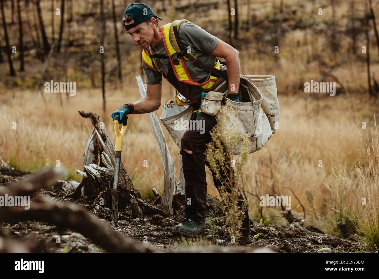 Uomo scavando buco con pala per piantare nuovi alberi in foresta. Forester che pianta nuova segatura in area deforested. Foto Stock