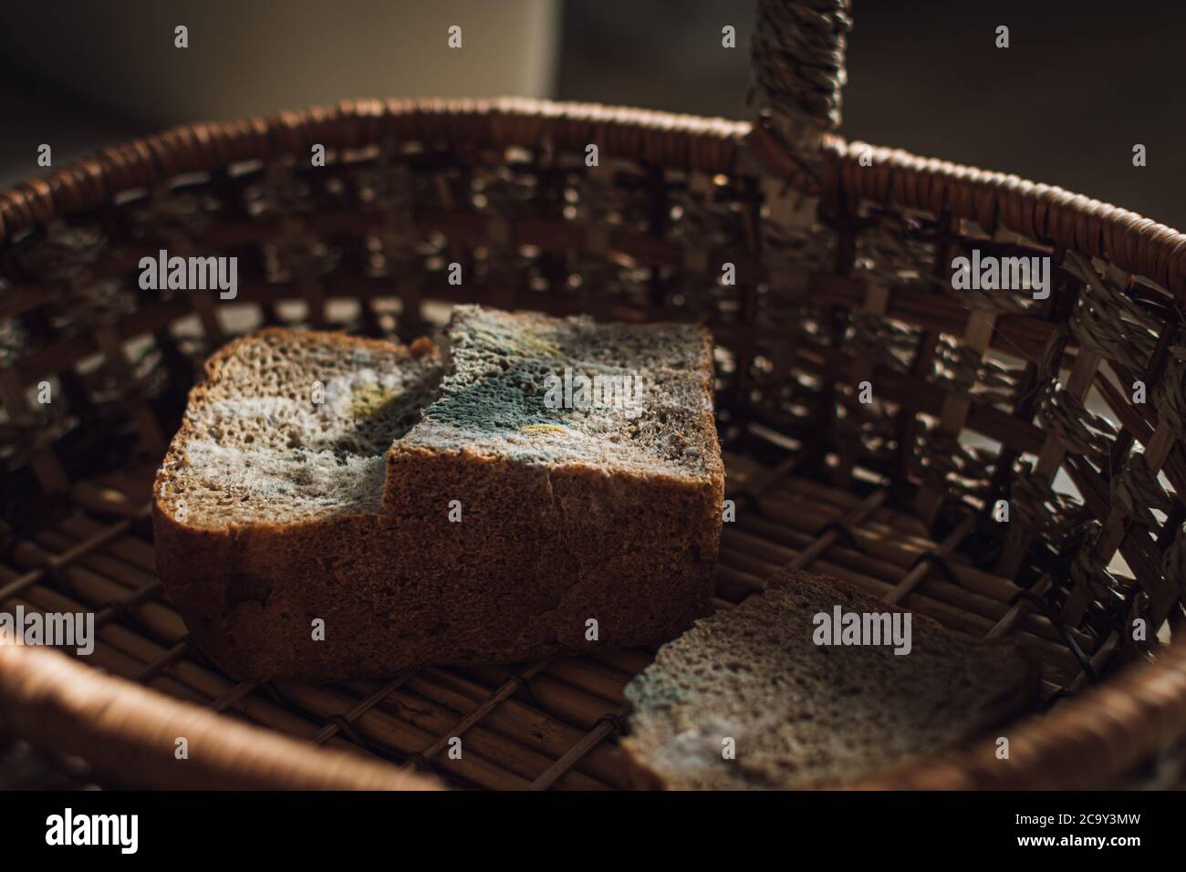 Forgi su pane, un pezzo di pane di segale con muffa bianca e verde. La migliore prima data è scaduta molto tempo fa con questo cibo ammuffito. Foto Stock