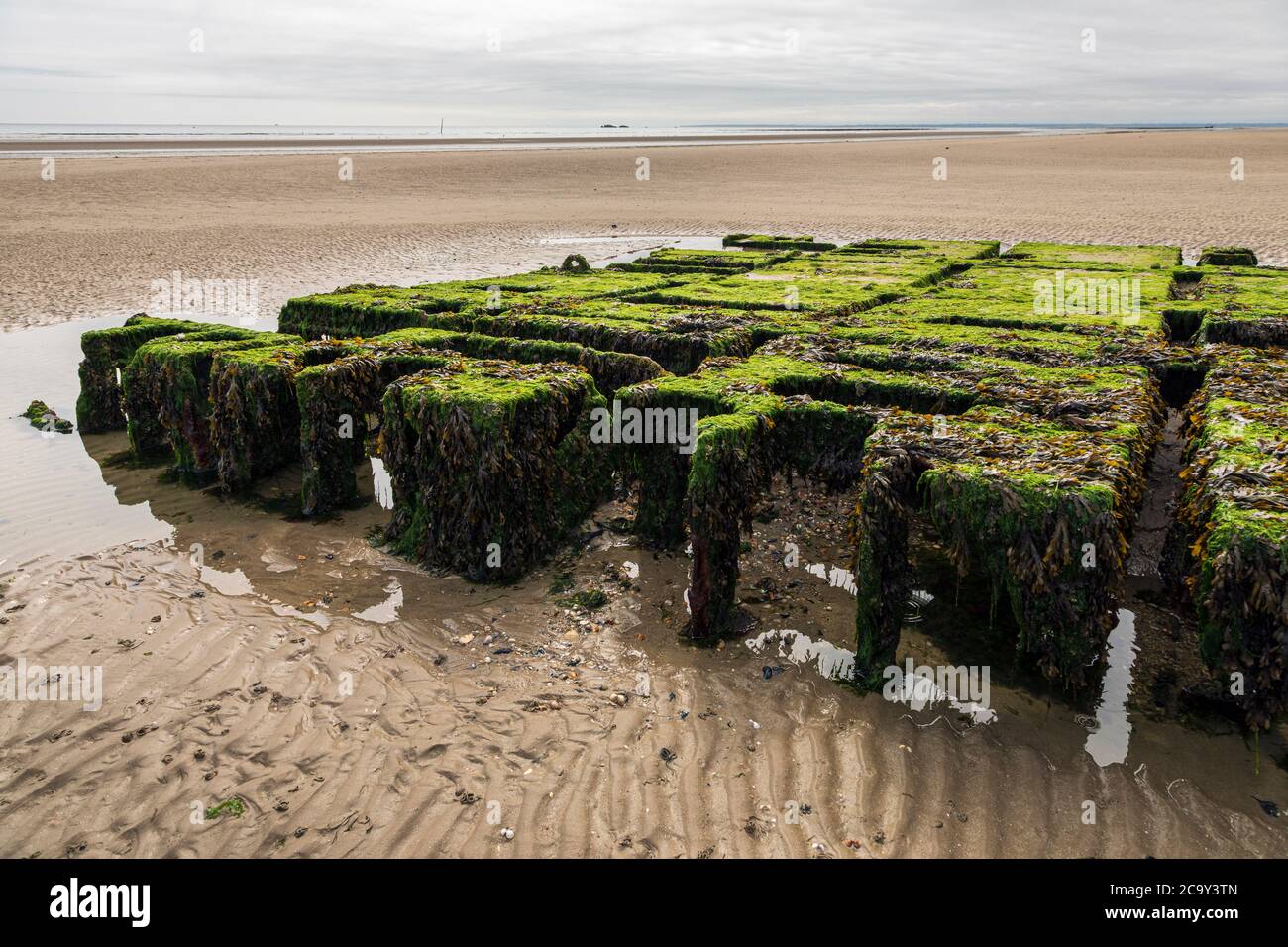Resti di un vecchio pontile in tempo di guerra utilizzato per gli sbarchi del D-Day a Utah Beach, Normandia, Francia Foto Stock