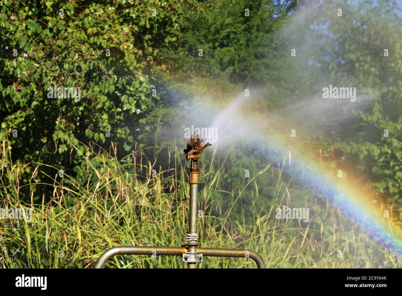 Irrigazione di aree verdi comunali Foto Stock