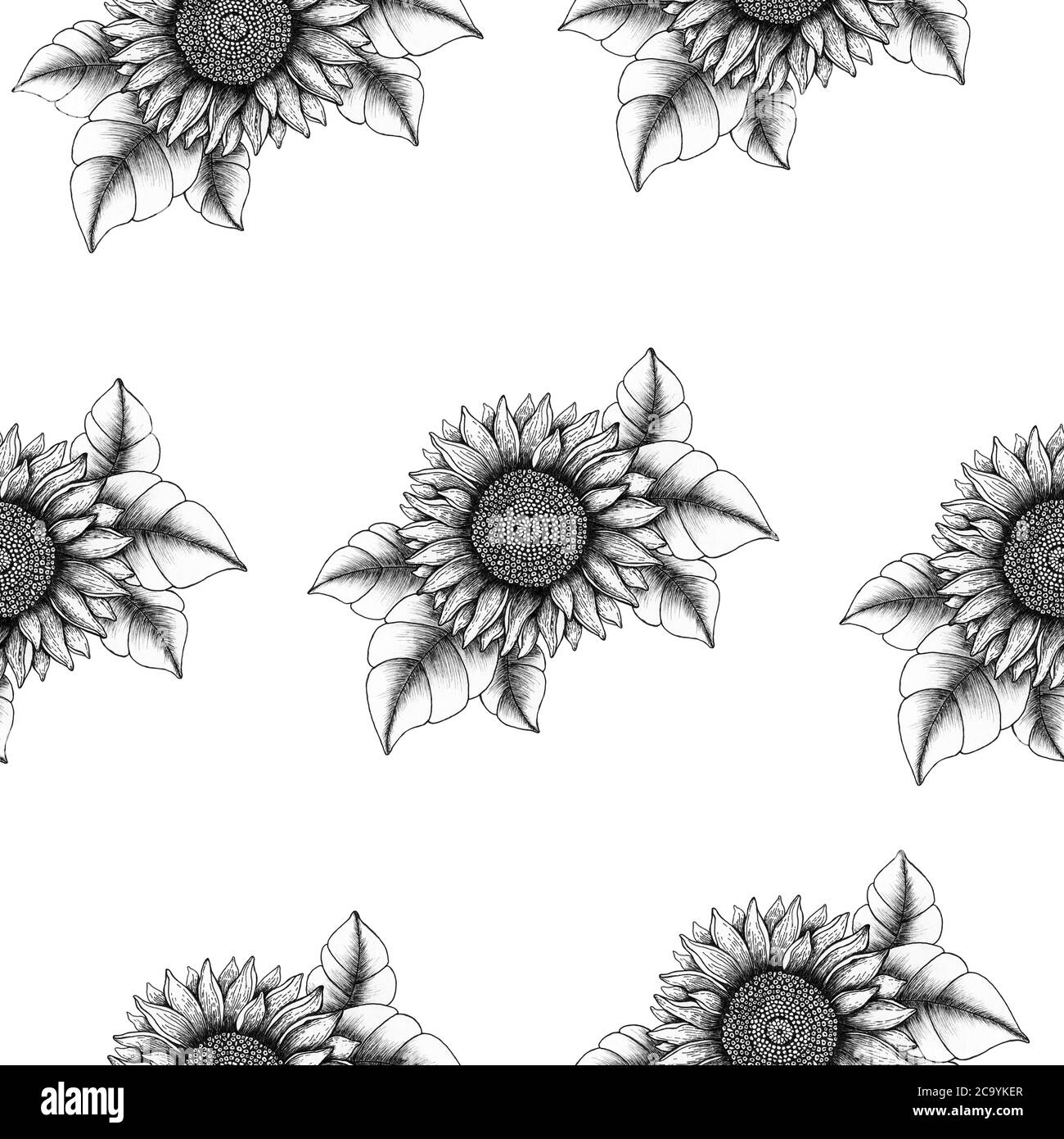 girasole sfondo senza cuciture, design floreale in bianco e nero per carta da parati, rivestimento e tessuto, design in tessuto girasole vintage Foto Stock