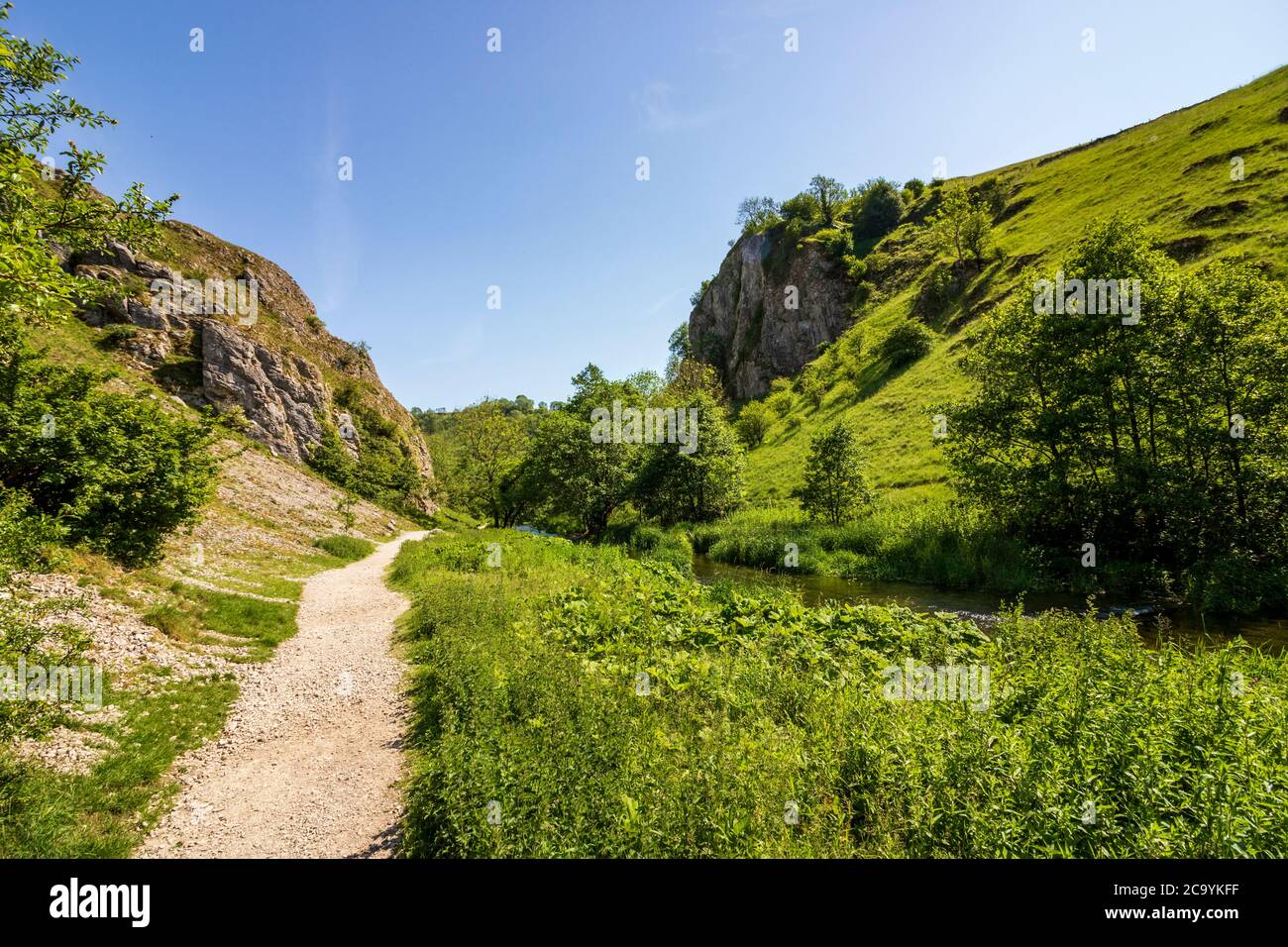 Dovedale - UN bellissimo paesaggio in una riserva naturale in Inghilterra Foto Stock