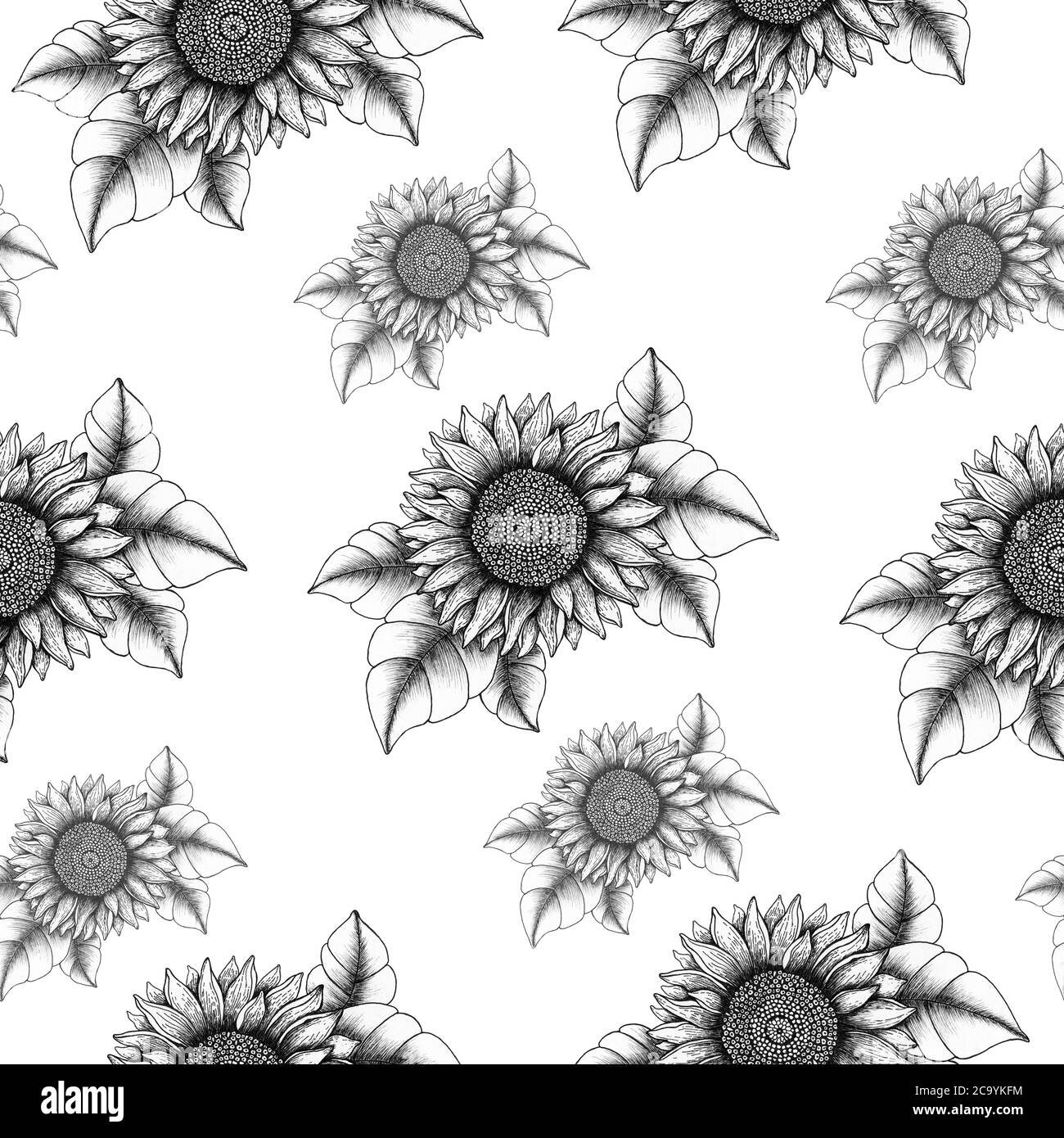 inchiostro girasole disegno sfondo senza cuciture, bianco e nero disegno floreale per carta da parati, avvolgimento e tessuto, vintage girasole design tessile Foto Stock