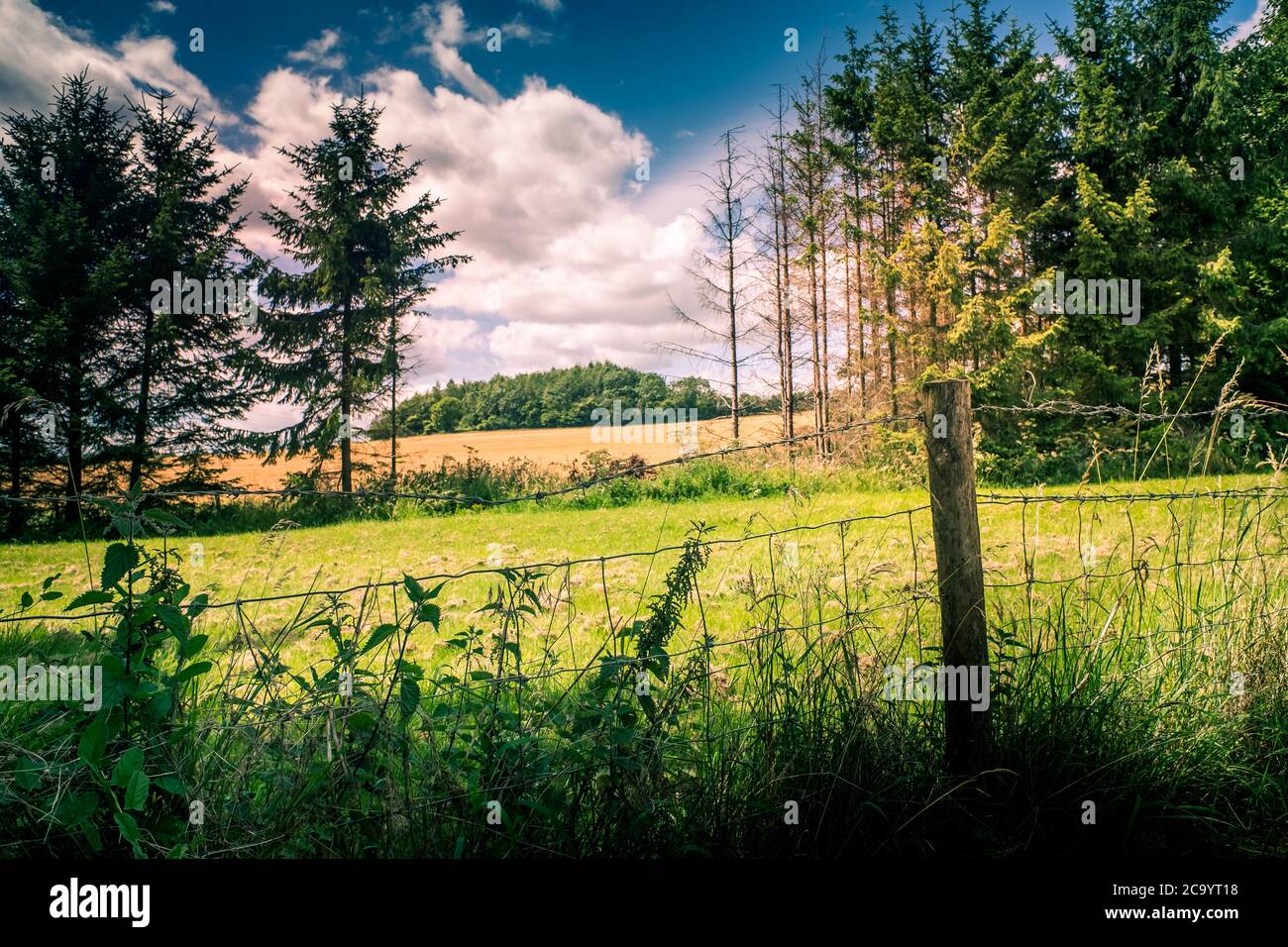 Paesaggio del Cotswolds in bella estate sole Regno Unito Foto Stock