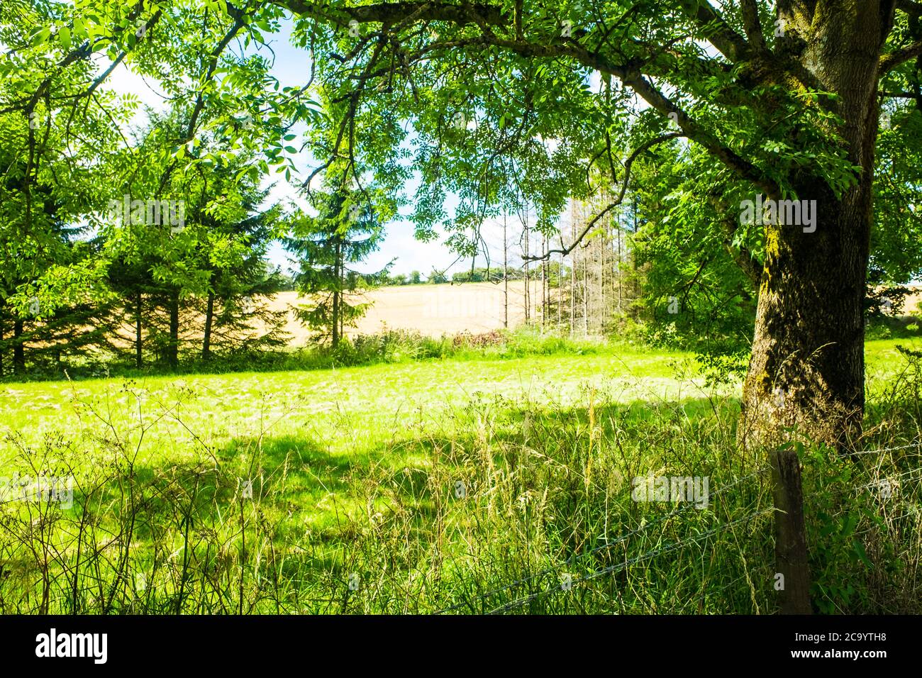 Paesaggio del Cotswolds in bella estate sole Regno Unito Foto Stock