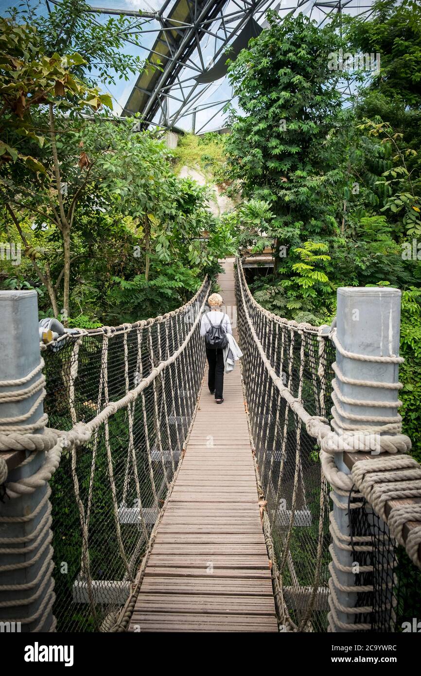 Un visitatore che cammina attraverso un ponte di corda all'interno della foresta pluviale Biome al complesso di progetto Eden in Cornovaglia. Foto Stock