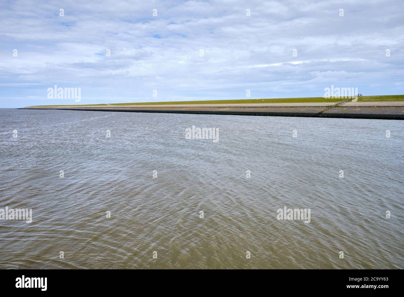 Tipica vista olandese di una diga, di un muro di mare, con prati verdi di capezzoli e il mare di Wadden. Sedyk, Friesland, Harlingen, Paesi Bassi. Foto Stock