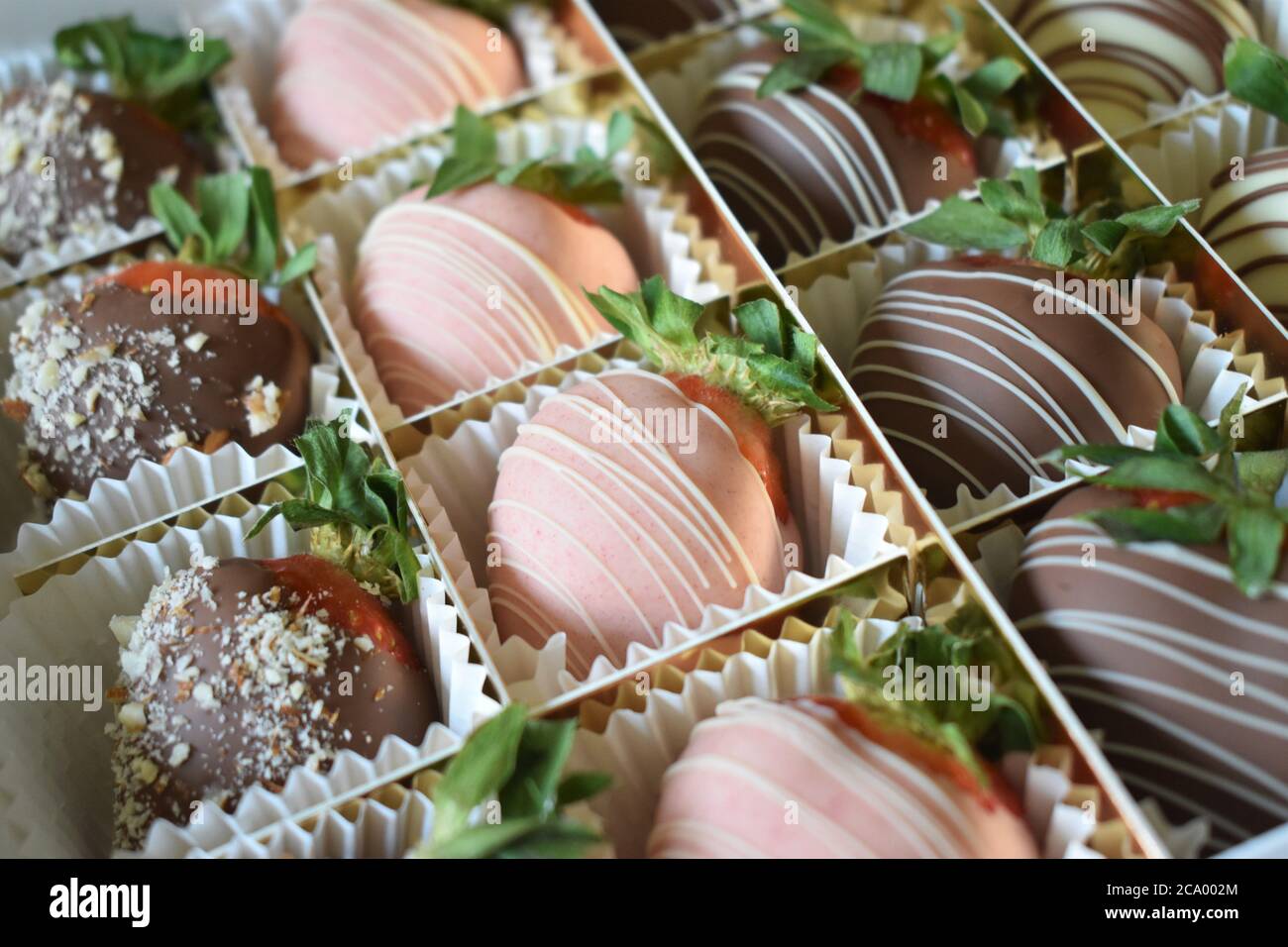 Un primo piano di una varietà di fragole ricoperte di cioccolato gourmet Foto Stock