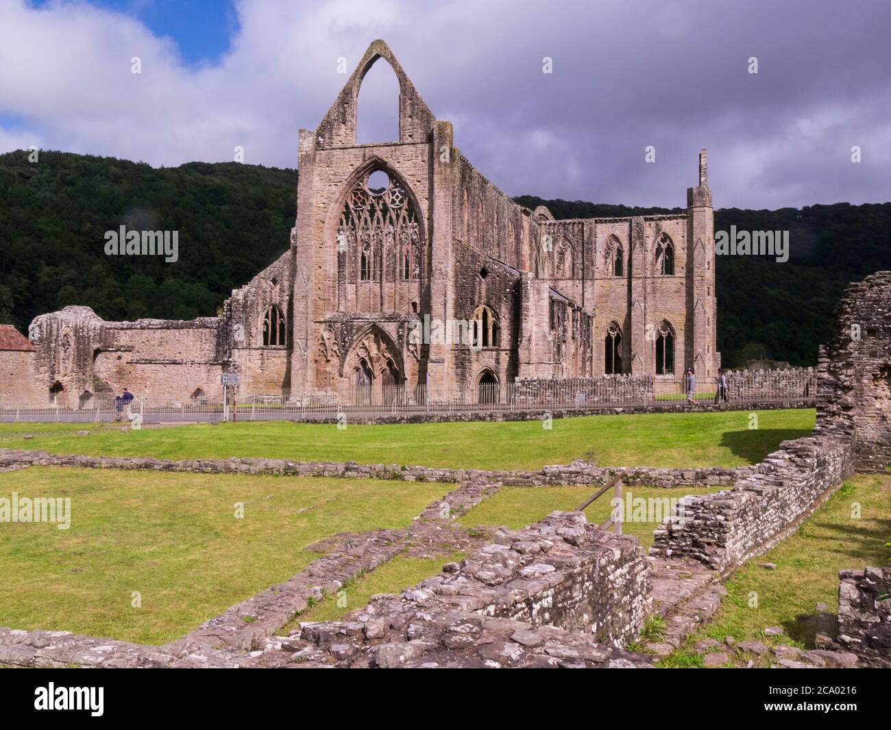 Rovine di Abbazia di Tintern fondata nel 1131 da Walter de Clare Signore di Chepstow situato adiacente al villaggio di Tintern nel Monboccuthshire sulla riva gallese di riv Foto Stock