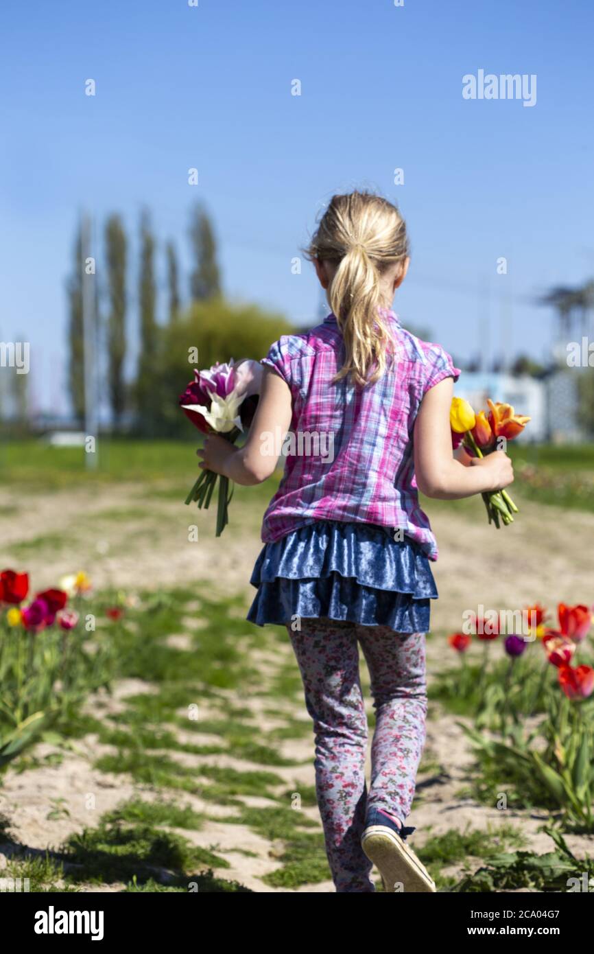 Ragazza (8) nel campo dei tulipani, Rostock, Meclemburgo-Pomerania occidentale, Germania Foto Stock