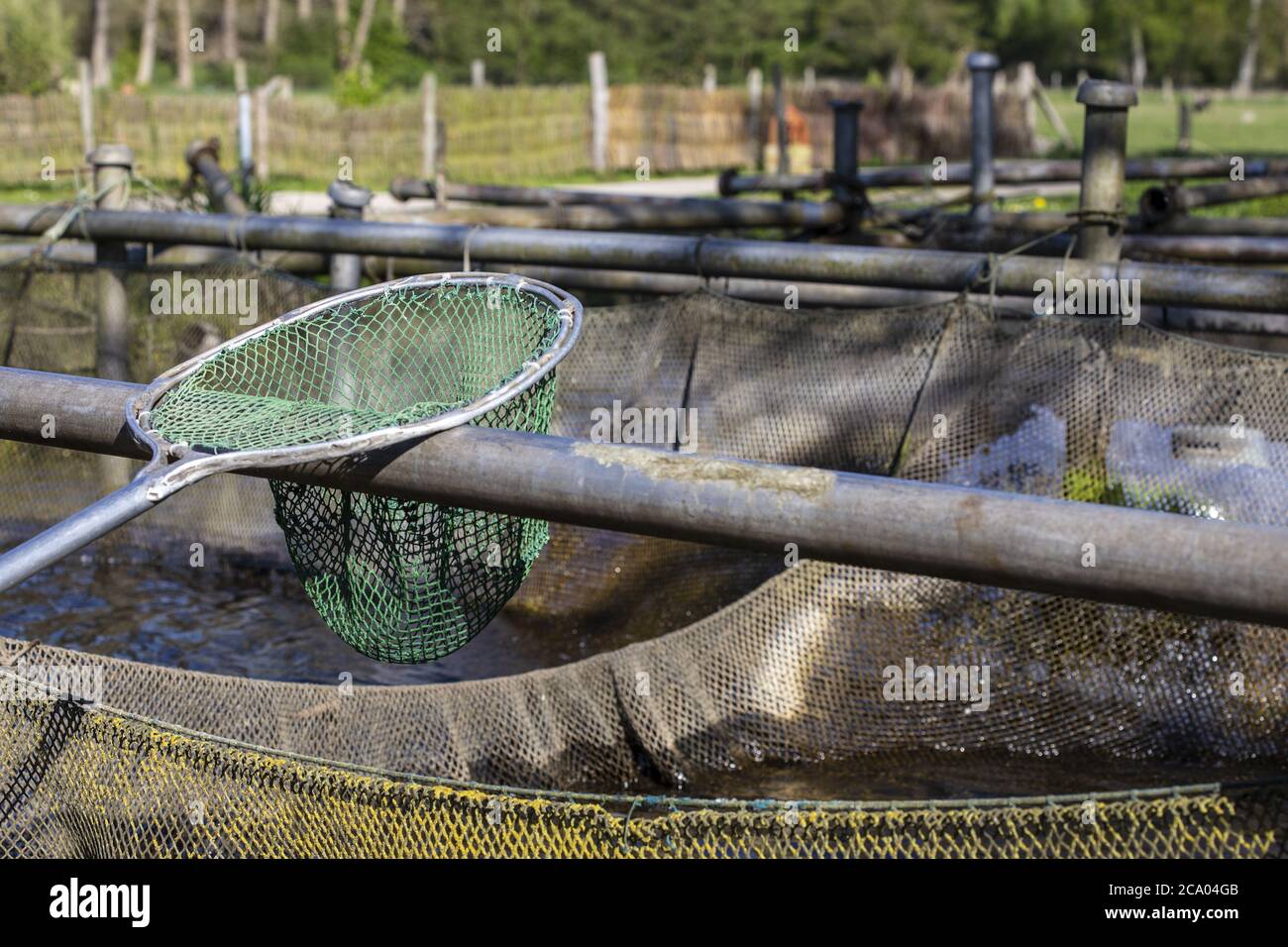 Landing Net, Fish Farming, Rostock, Meclemburgo-Pomerania occidentale, Germania Foto Stock