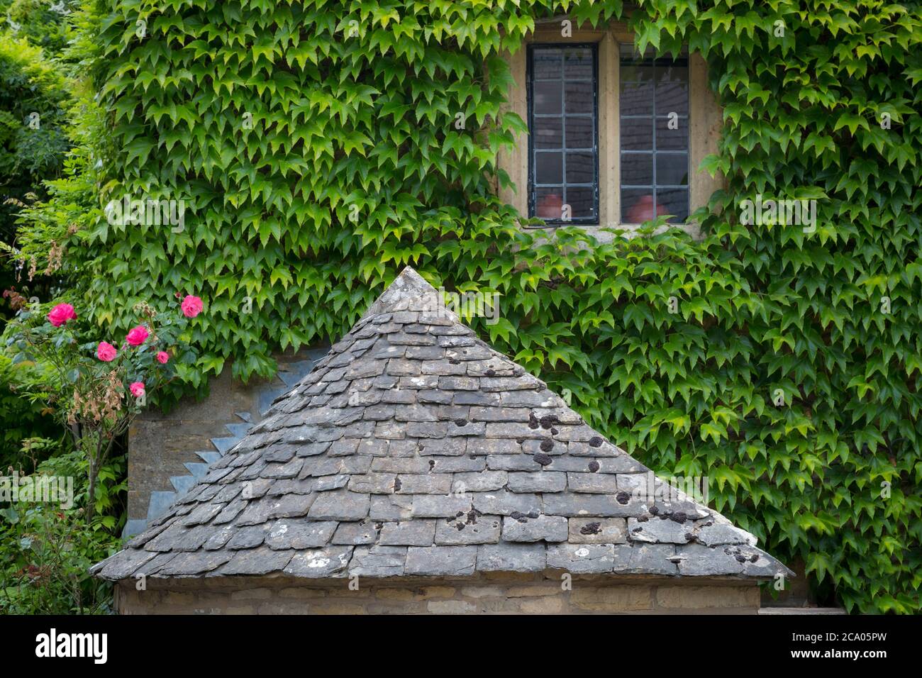 Ivy coprì la casa di Cotswold nel Lower Slaughter, Gloucestershire, Inghilterra, Regno Unito Foto Stock