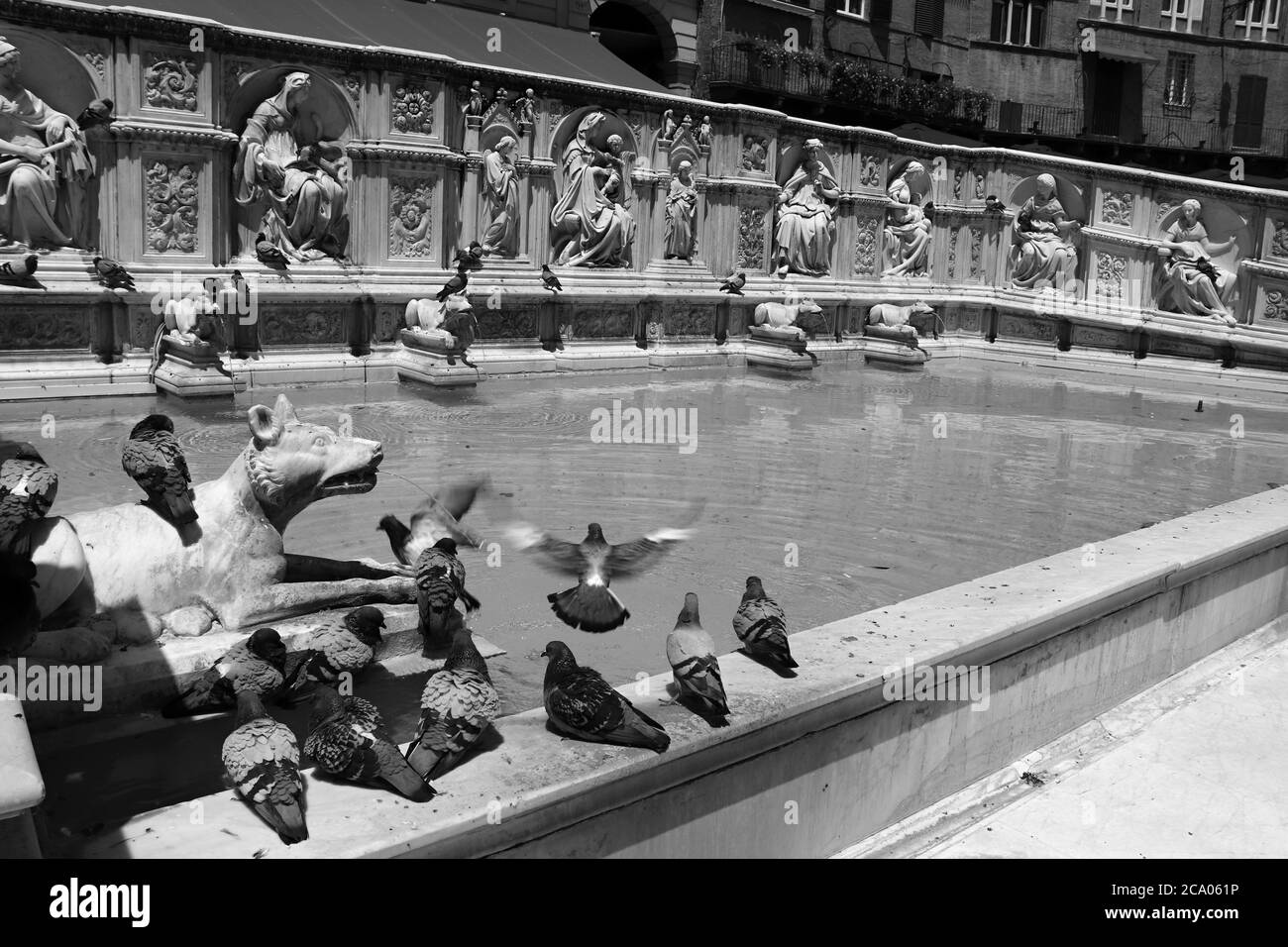 Uno scorcio della città medievale di Siena, Toscana, Italia. Patrimonio dell'UNESCO. La Fonte Gaia in Piazza del campo, la piazza principale della città. Pigeons on Foto Stock