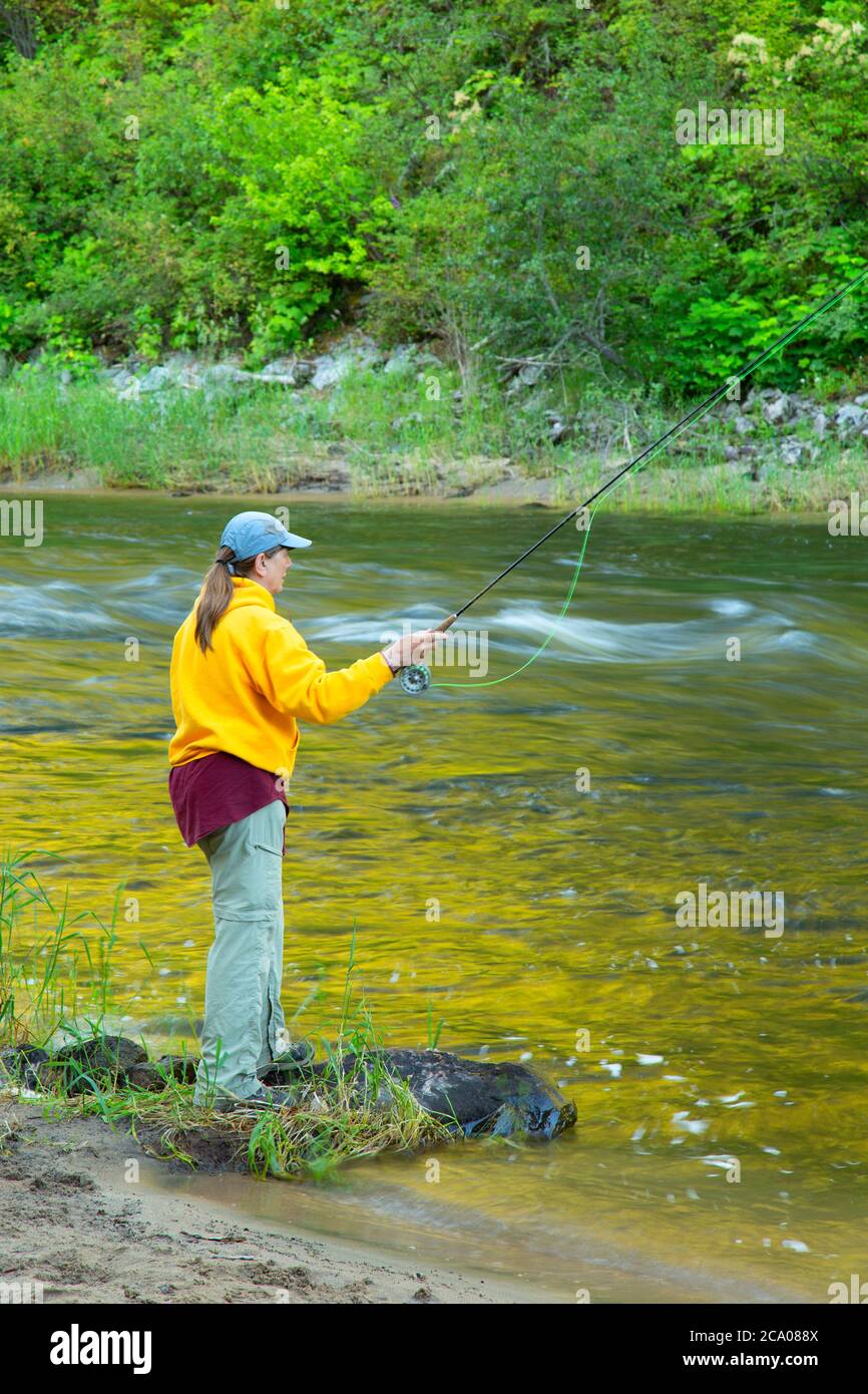 Pesca a mosca il fiume Clearwater della forcella sud, la foresta nazionale di Nez Perce, Idaho Foto Stock
