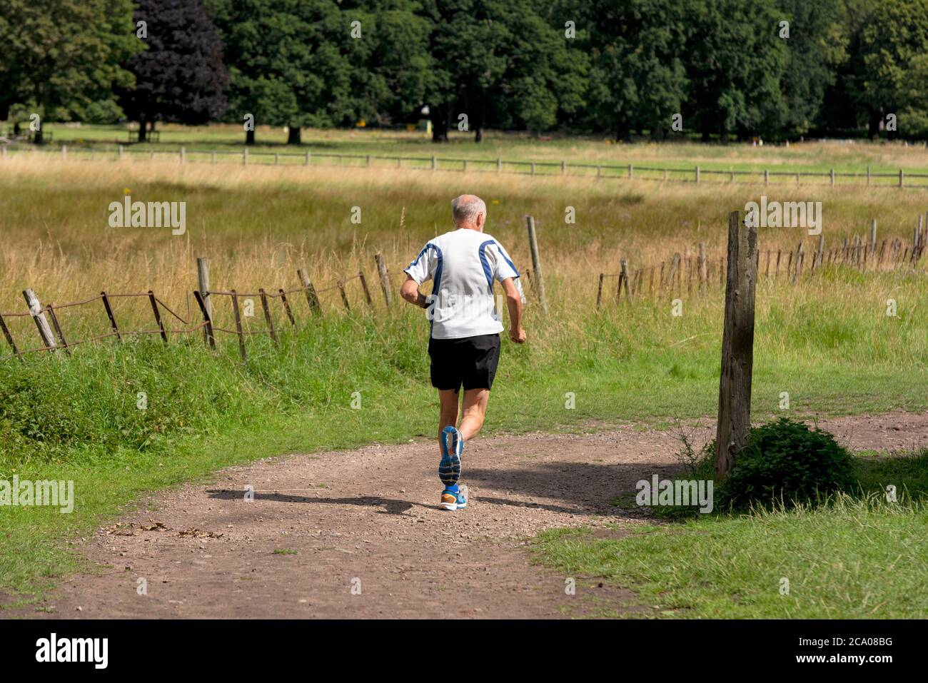 Anziano pensionato maschio, uomo jogging, esercizio in un parco di campagna del Regno Unito Foto Stock