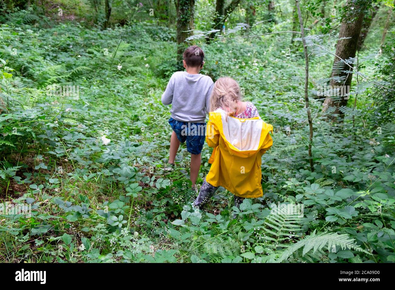 I bambini guardano dietro la schiena durante le vacanze di campagna dopo il periodo di confinamento giocando all'aperto passeggiando nel verde bosco di campagna Carmarthenshire Wales UK KATHY DEWITT Foto Stock