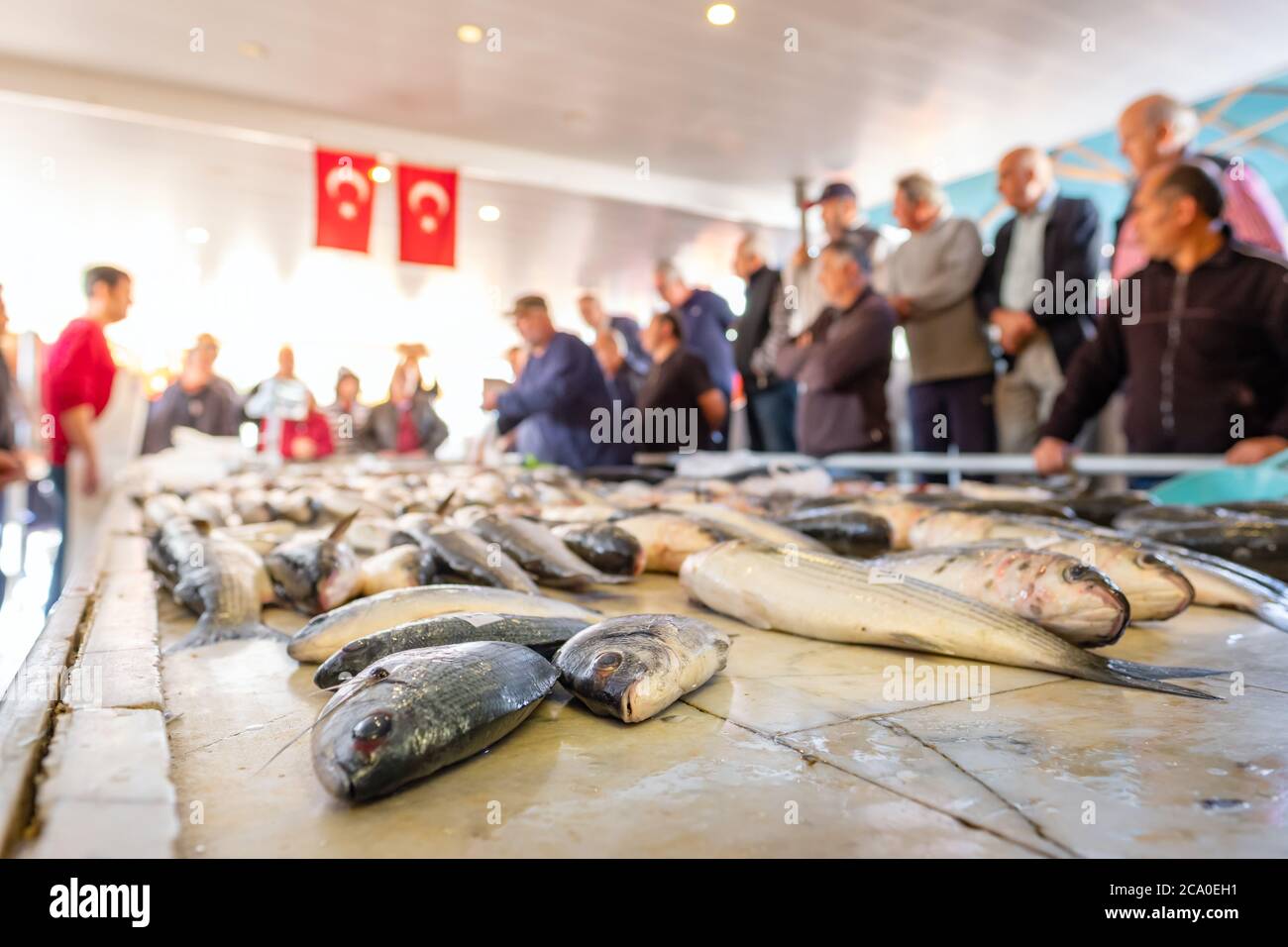 Vari pesci freschi in vendita all'asta di frutti di mare nella città di Alacati, Turchia. Foto Stock