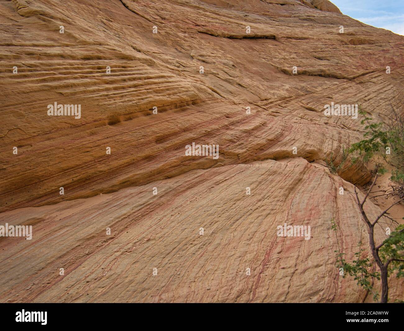 Un pendio roccioso di montagna con molte linee di colore e forme arrotondate Foto Stock