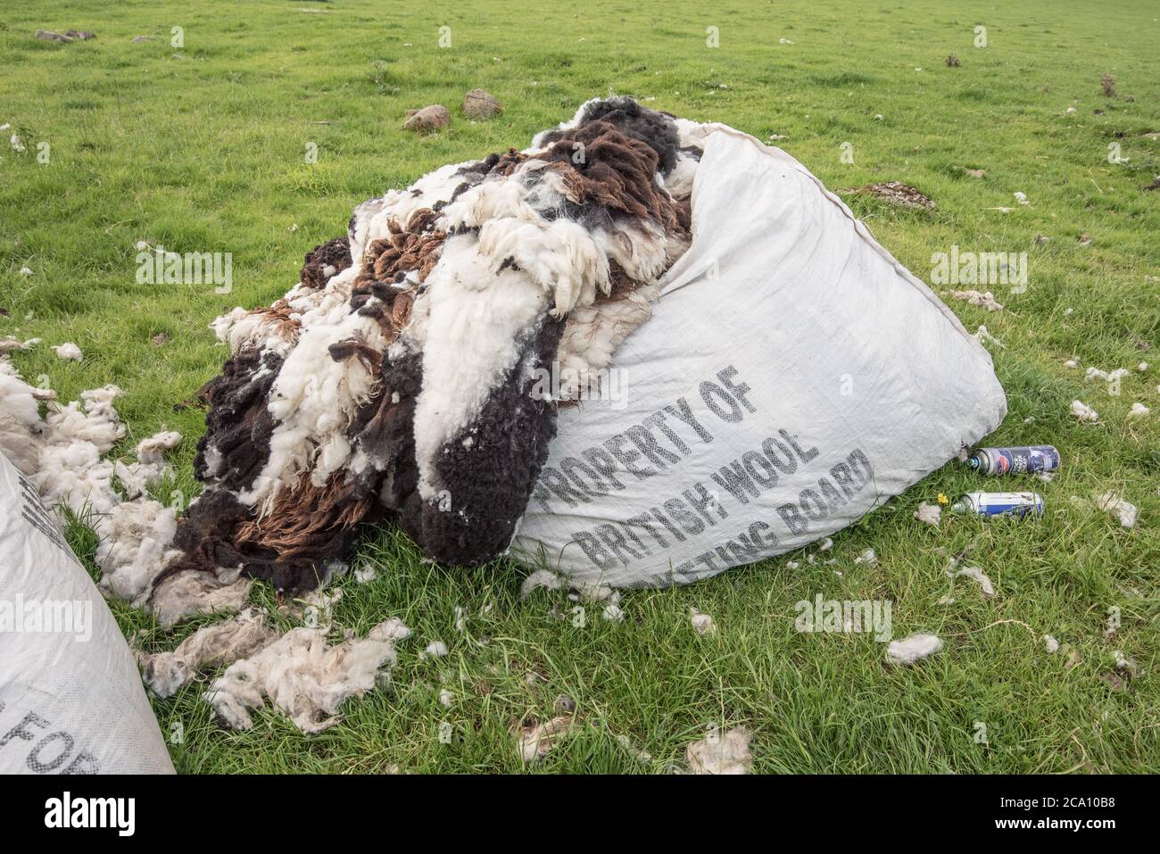 Woo pricesl Foto Stock