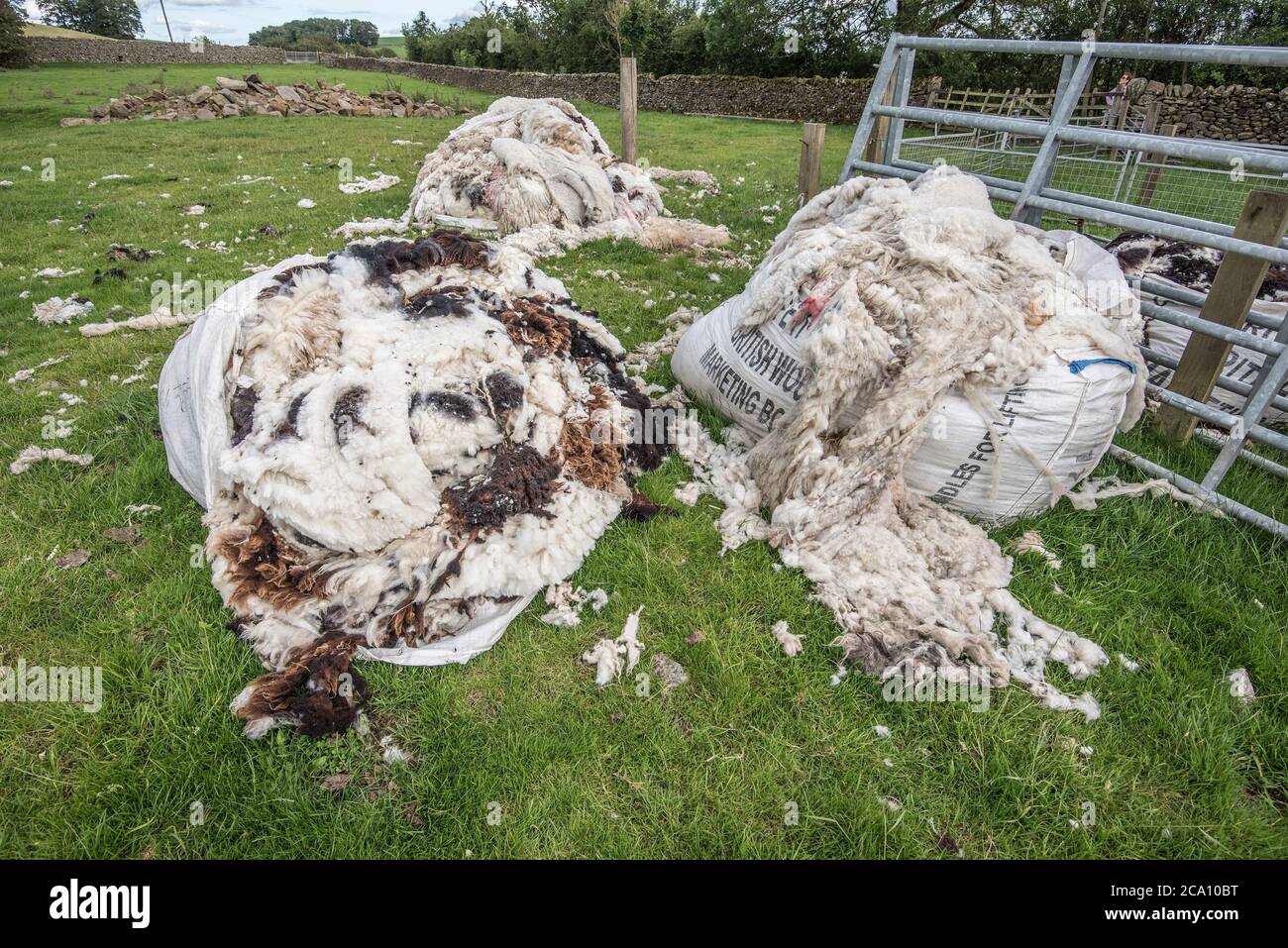 Woo pricesl Foto Stock