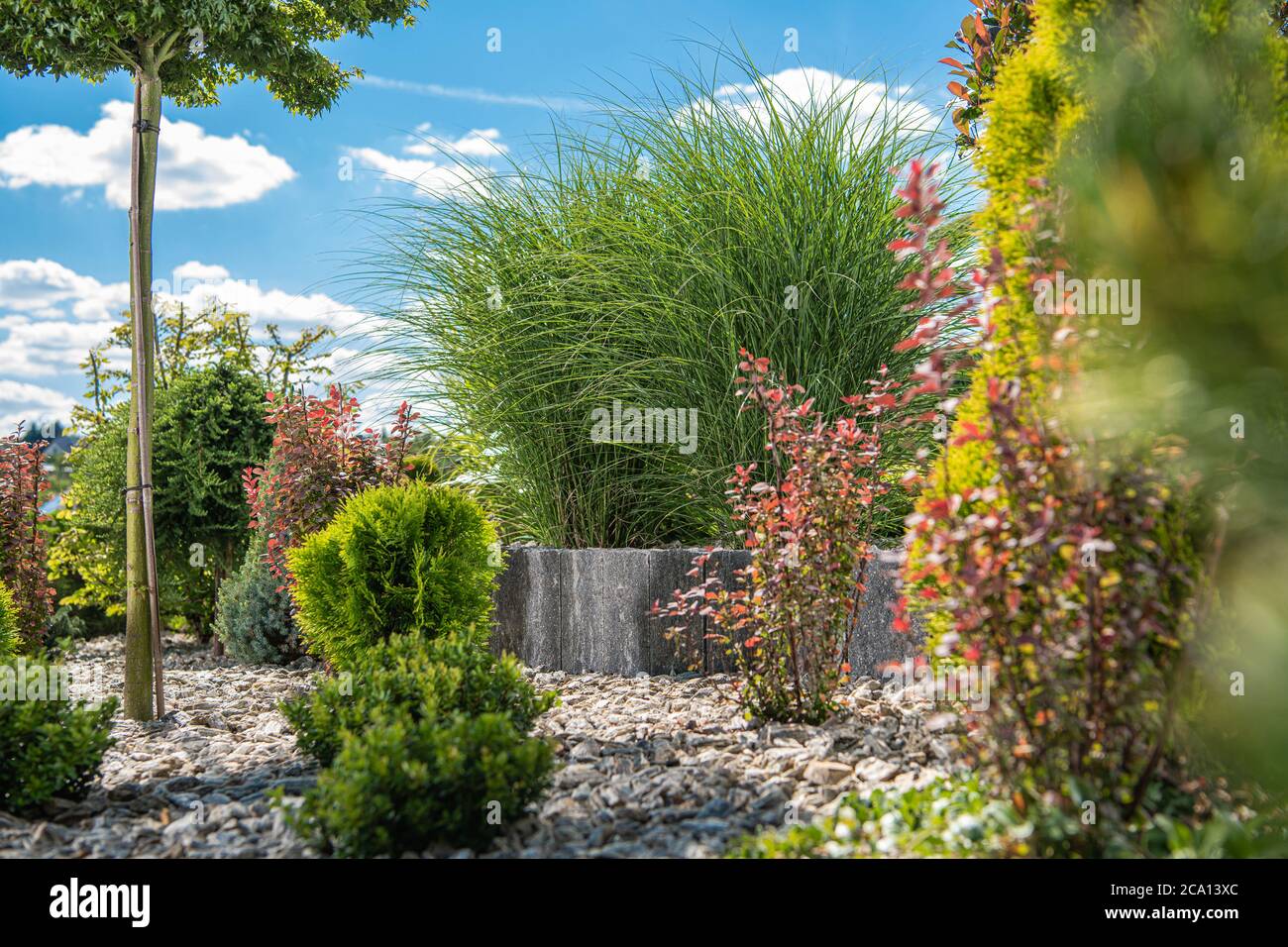 Bellissimo giardino colorato Backyard con molte piante e alberi diversi durante estate Sunny pomeriggio Foto Stock