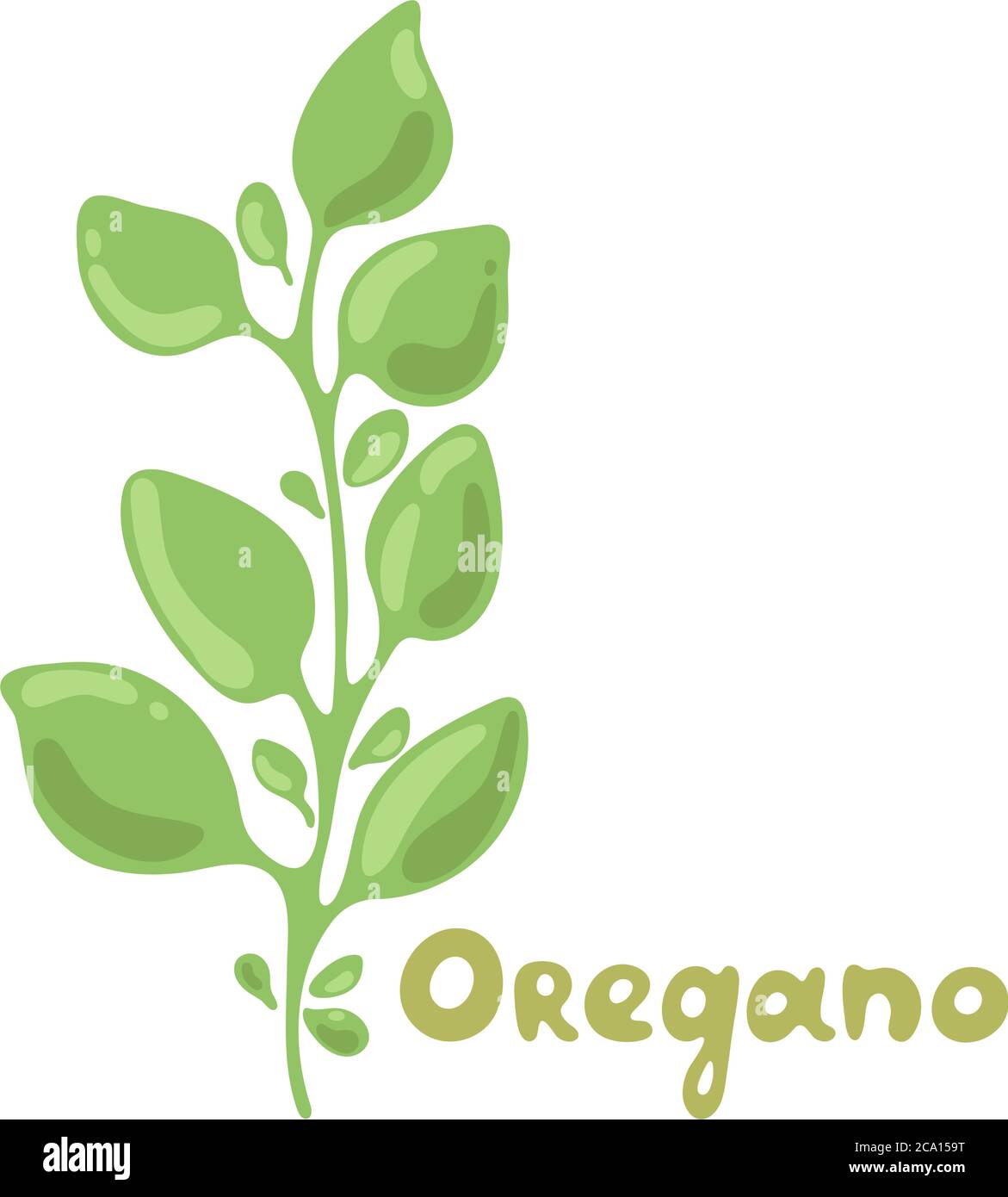 Oregano sprigs vettore cute clipart illustrazione. Pianta isolata con foglie. Illustrazione di stile piatto di erbe. Icona prodotto organico non dettagliato. Cucina Illustrazione Vettoriale