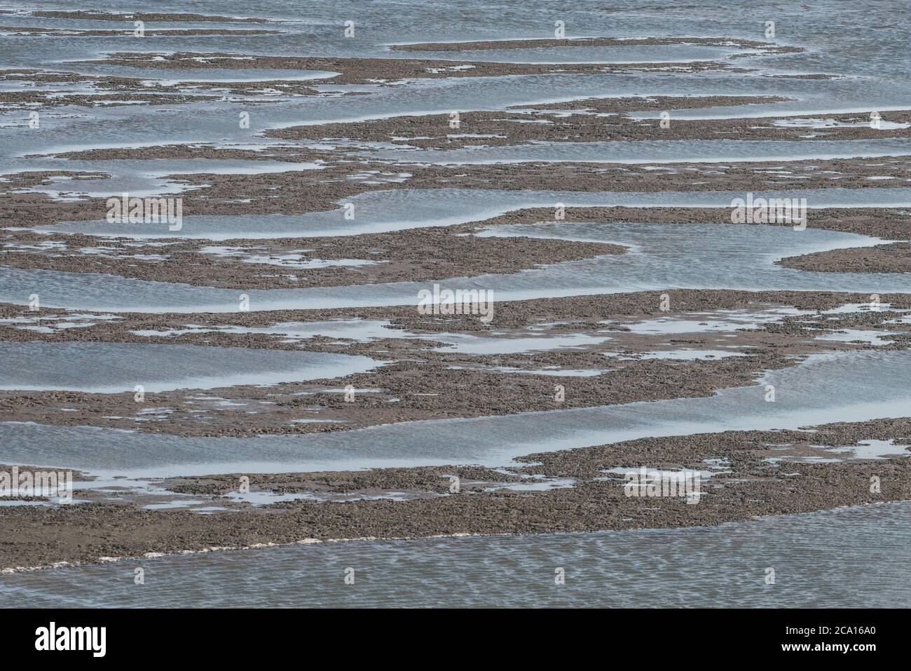 La bassa marea del litorale nazionale di Point Reyes rivela i mudflats e i rivulets in drakes esterno. Foto Stock