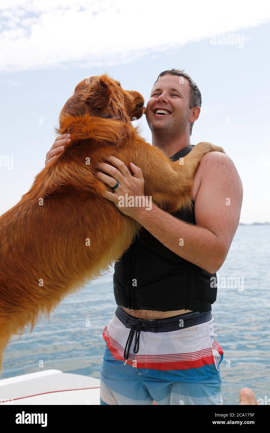Golden retriever cane leccando il volto di un uomo. Foto Stock