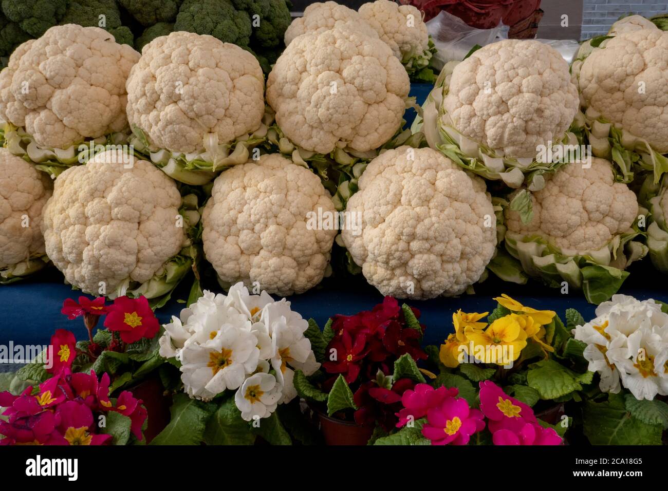 Gruppo di cavolfiori con foglie verdi e fiori Foto Stock