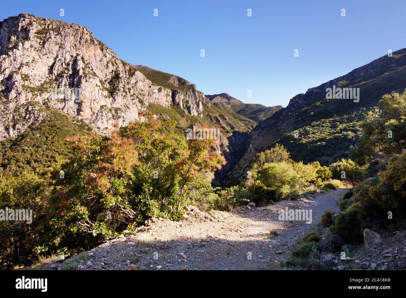 Vista lungo la Gola di Rindomo a Messinia nel Peloponneso della Grecia Foto Stock
