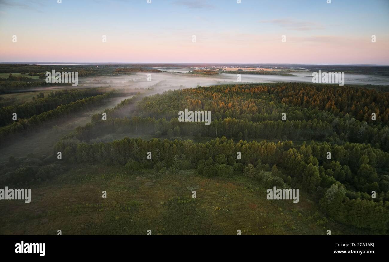 Nebbia mattina sfondo foresta aereo drone vista dall'alto Foto Stock