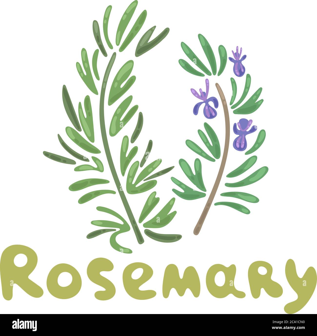 Rametti di rosmarino. L'erba di rosmarino e il vettore di spezie divertente clipart illustrazione. Eleganti disegni di piante di rosmarino con fiori. Vettore botanico Illustrazione Vettoriale