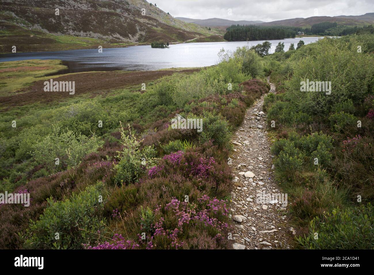 Il percorso che conduce a Loch Gynack sulla strada per Kingussie nel Cairngorms National Park, Scozia, Regno Unito. Foto Stock