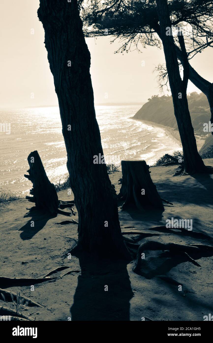 Vista spettacolare del sole che si affaccia sull'Oceano Pacifico dal Douglas preserva le scogliere costiere con alberi e stumi in tonalità divise, Santa Barbara, California Foto Stock