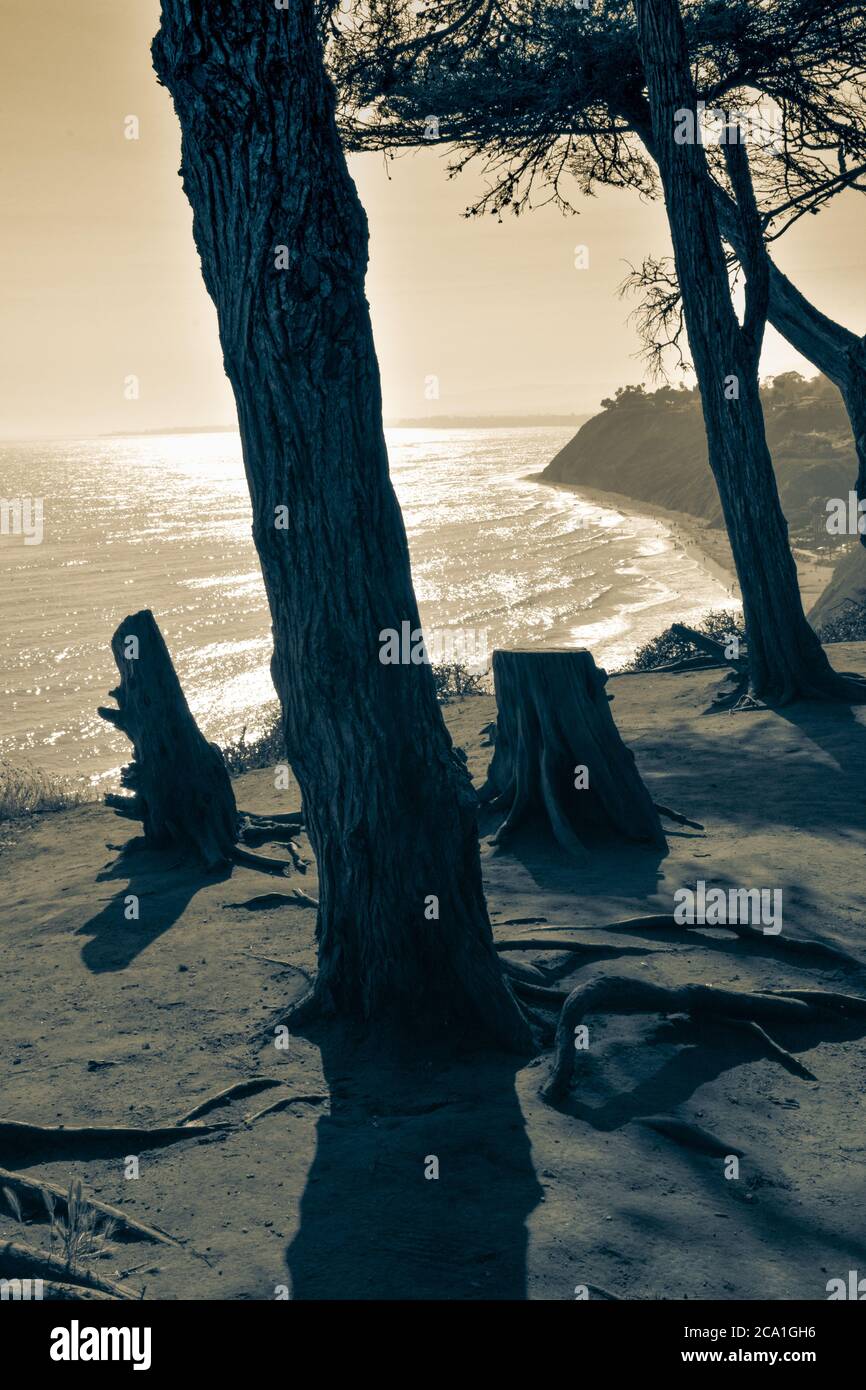 Spettacolare vista dall'alto dell'Oceano Pacifico dalla Douglas preserva le scogliere costiere con alberi e stumi in tonalità split, Santa Barbara, CA Foto Stock