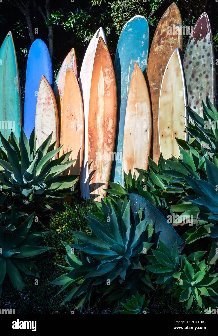 Una linea verticale di tavole da surf in pensione, grugnose e vintage in un giardino di agave nella California meridionale Foto Stock