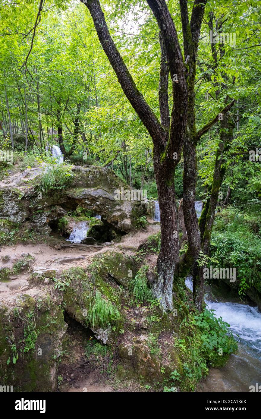 Torrente di montagna con acqua blu che scorre attraverso la foresta verde e si raduna sul parco naturale Zlatibor, Serbia in una giornata estiva soleggiata Foto Stock