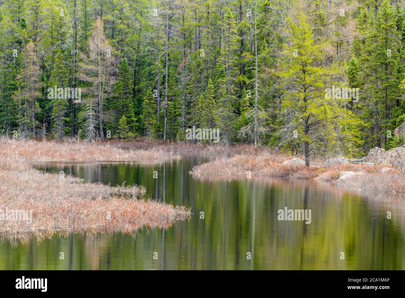 Fox Creek all'inizio della primavera, Old Cartier Road, Cartier, Ontario, Canada Foto Stock