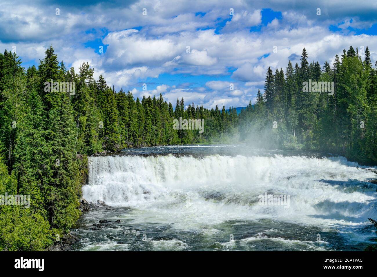 Dawson Falls, Grey Parco Provinciale, British Columbia, Canada Foto Stock