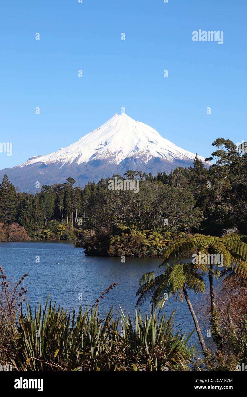 Monte Taranaki Nuova Zelanda vista dal lago di Mangamahoe con nativo alberi Foto Stock