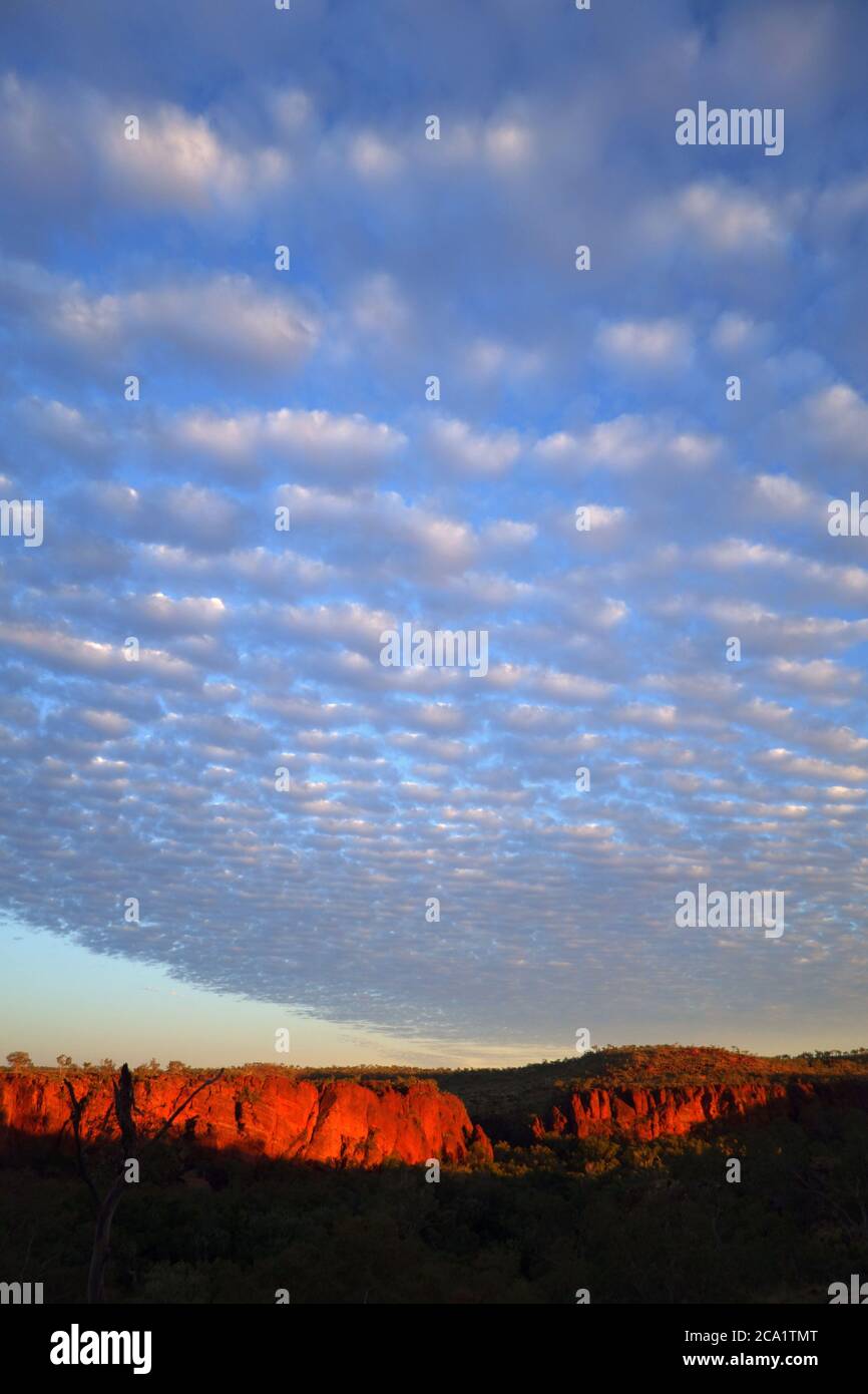 Dawn sopra il Parco Nazionale di Boodjamulla (Lawn Hill), dalla Constance Range, Outback Queensland, Australia Foto Stock