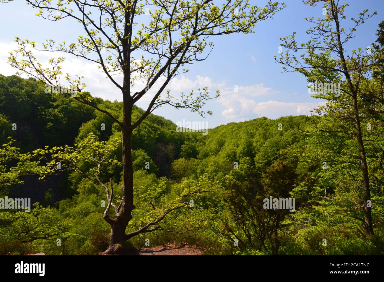 Söderåsen, skåne, nationalpark Foto Stock