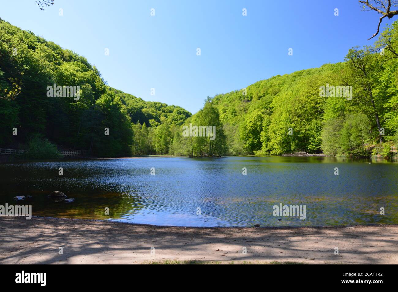 Söderåsen, skåne, nationalpark Foto Stock