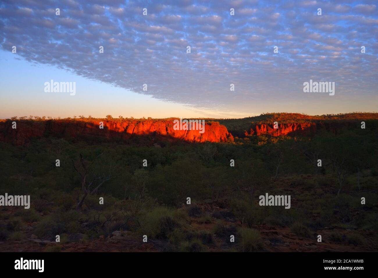 Dawn sopra il Parco Nazionale di Boodjamulla (Lawn Hill), dalla Constance Range, Outback Queensland, Australia Foto Stock