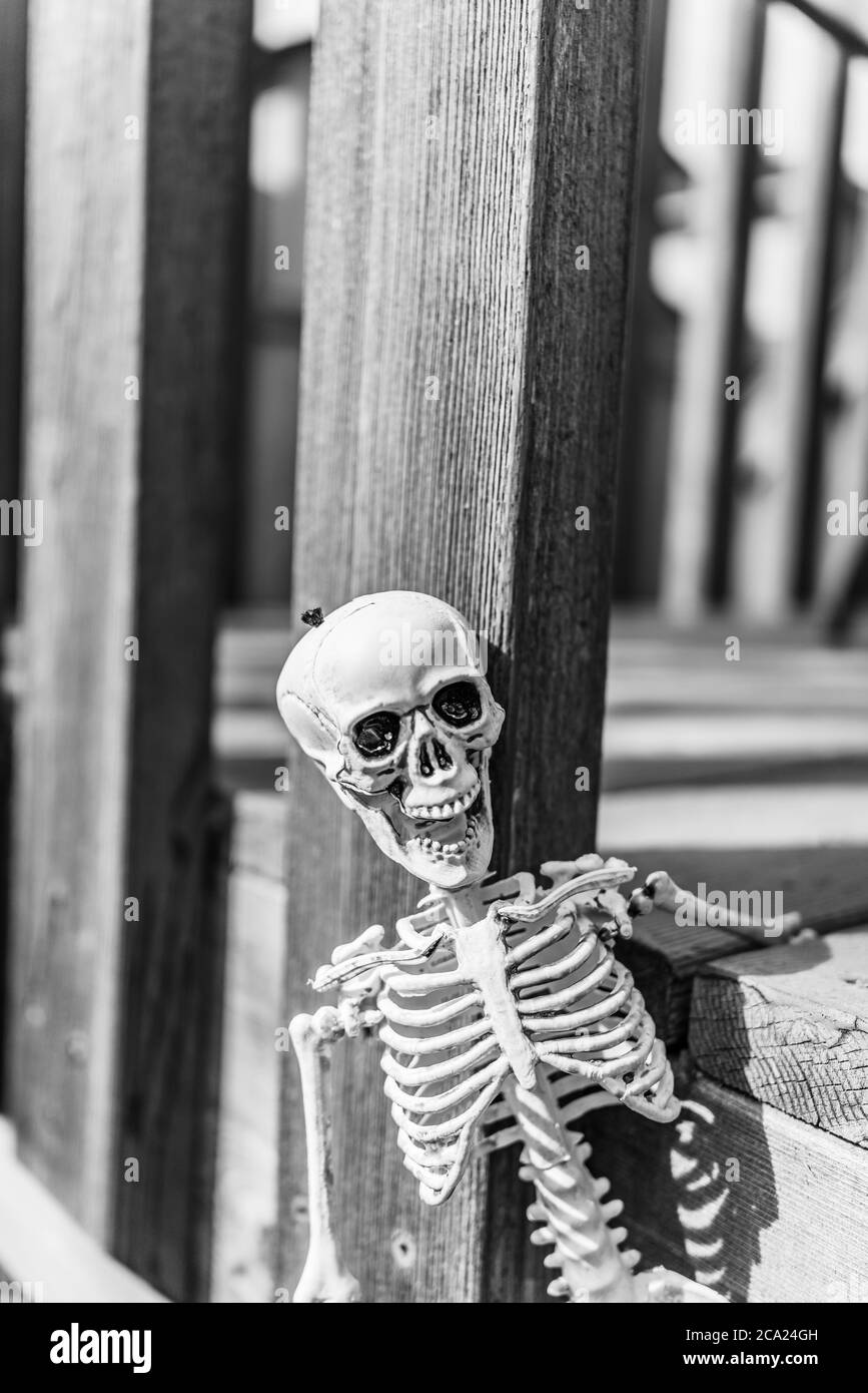 Scheletro sul ponte esterno per la celebrazione di Halloween Foto Stock