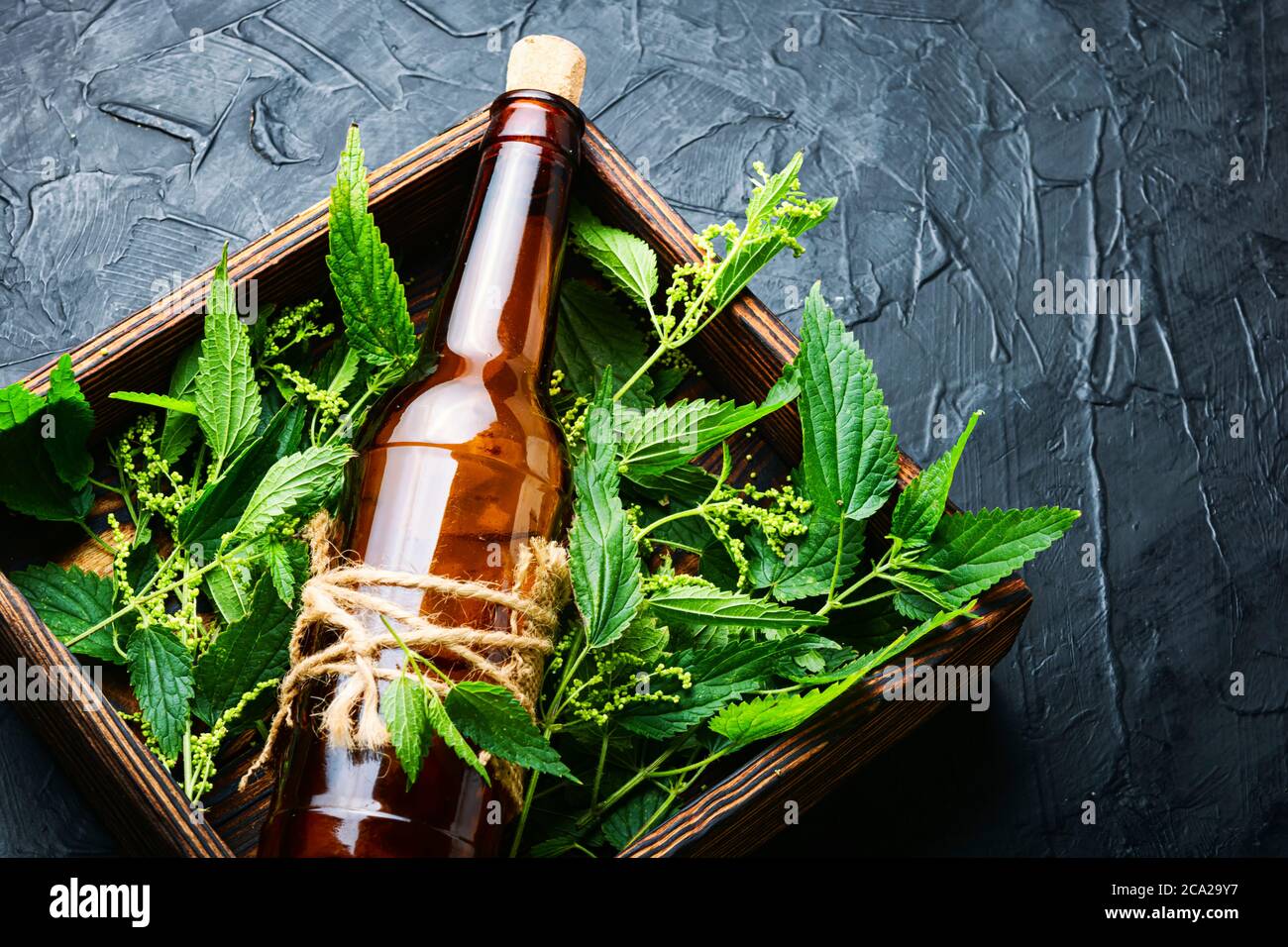 Ortica estratto in bottiglia e ortica fresca leaves.Stinging nettles.Nettle con semi e foglie Foto Stock