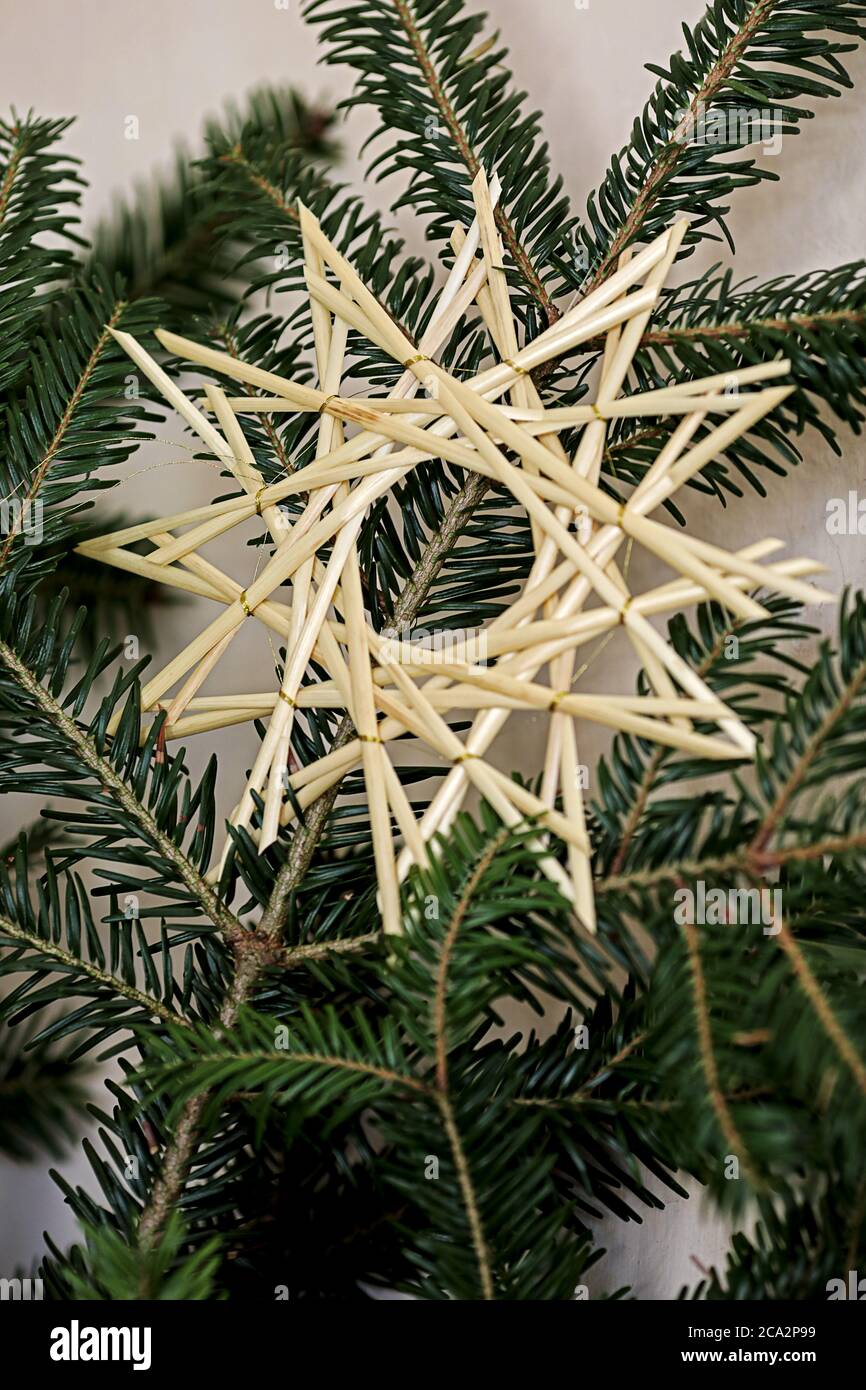 stella di paglia fatta in casa per la decorazione durante l'avvento e il tempo di natale Foto Stock