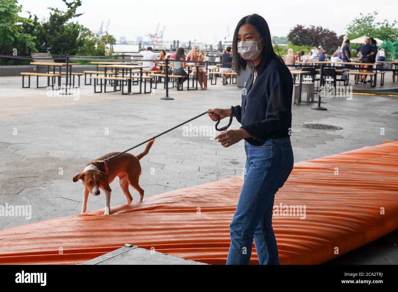 Una donna e il suo cane attraversano le barriere temporanee di alluvione erette nel quartiere di South Street Seaport in preparazione di potenziali inondazioni e di un'ondata di tempesta da tropicale tempesta Isaias. La tempesta, Che sta dirigendosi verso la costa orientale impacchettando i venti pesanti, è previsto che scaricano parecchi pollici di pioggia sulla zona della metropolitana a partire da tarda sera e domani. I tubi interbloccanti, chiamati dighe Tiger, sono installati in aree che sono state gravemente danneggiate da inondazioni durante l'uragano Sandy. Foto Stock