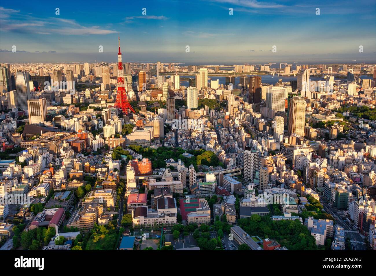 Tokyo City View, Roppongi Hills Mori Tower, Tokyo, Giappone Foto Stock