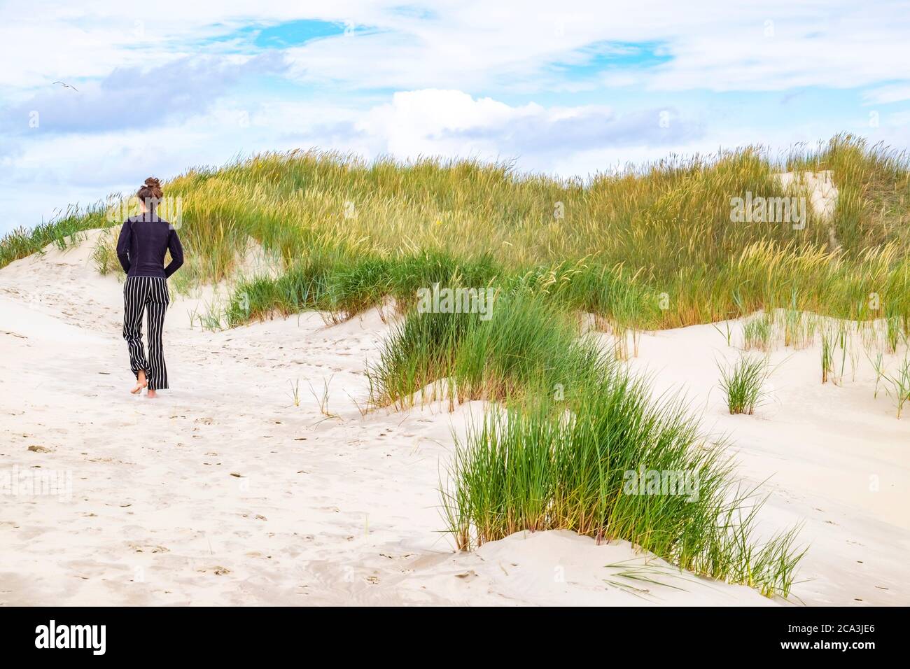Tour a piedi attraverso le dune di sabbia sull'isola Frisia Terschelling, Paesi Bassi, Europa. Foto Stock